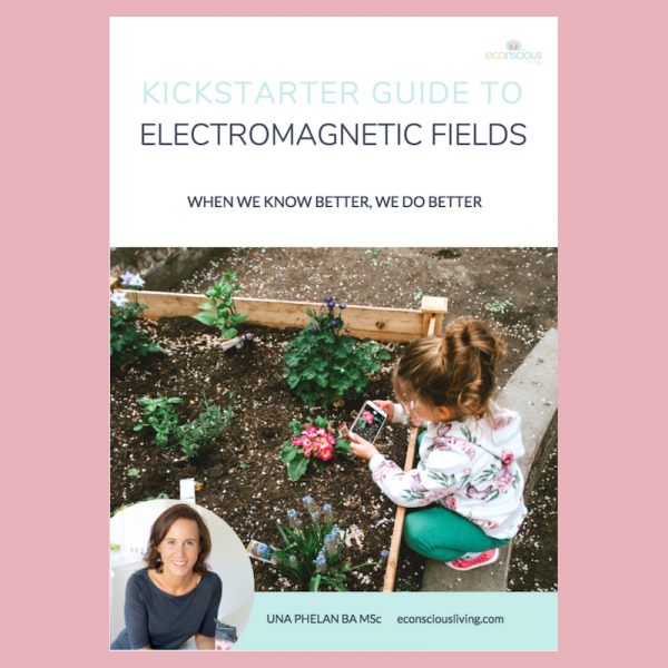 electromagnetic fields cover