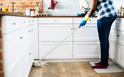 Everything You Should Know About House Dust Mites
