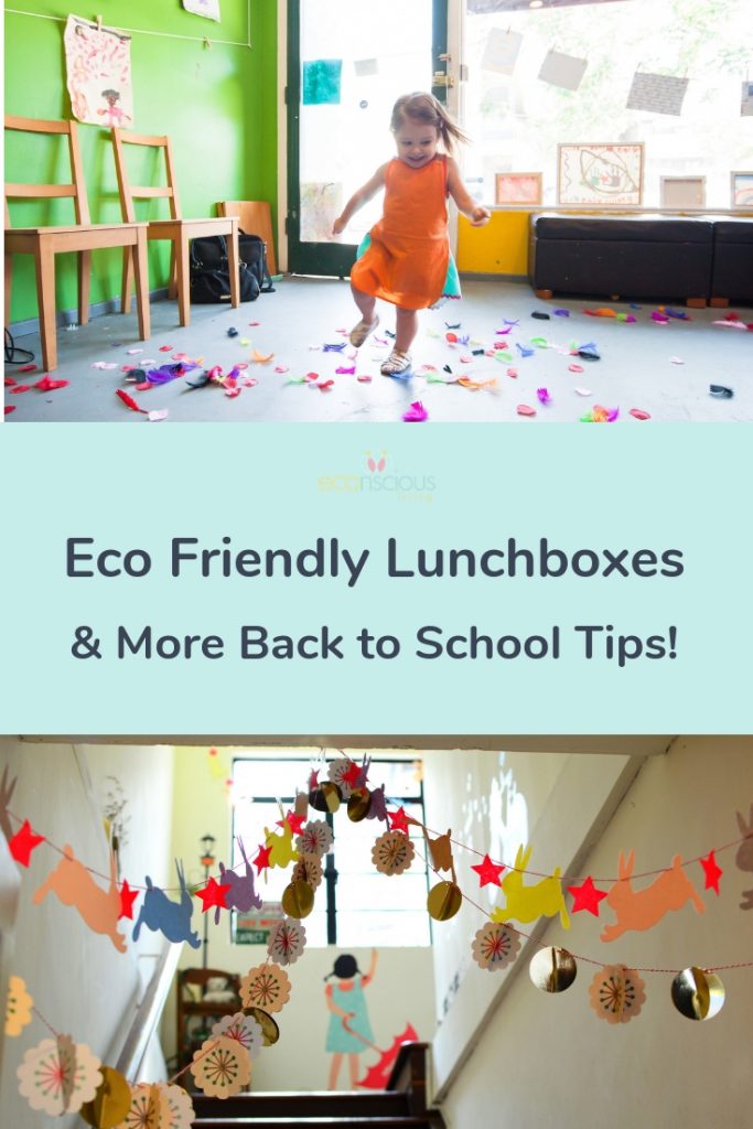 Pin Eco Friendly Lunchboxes & More Back to School Tips to Pinterest